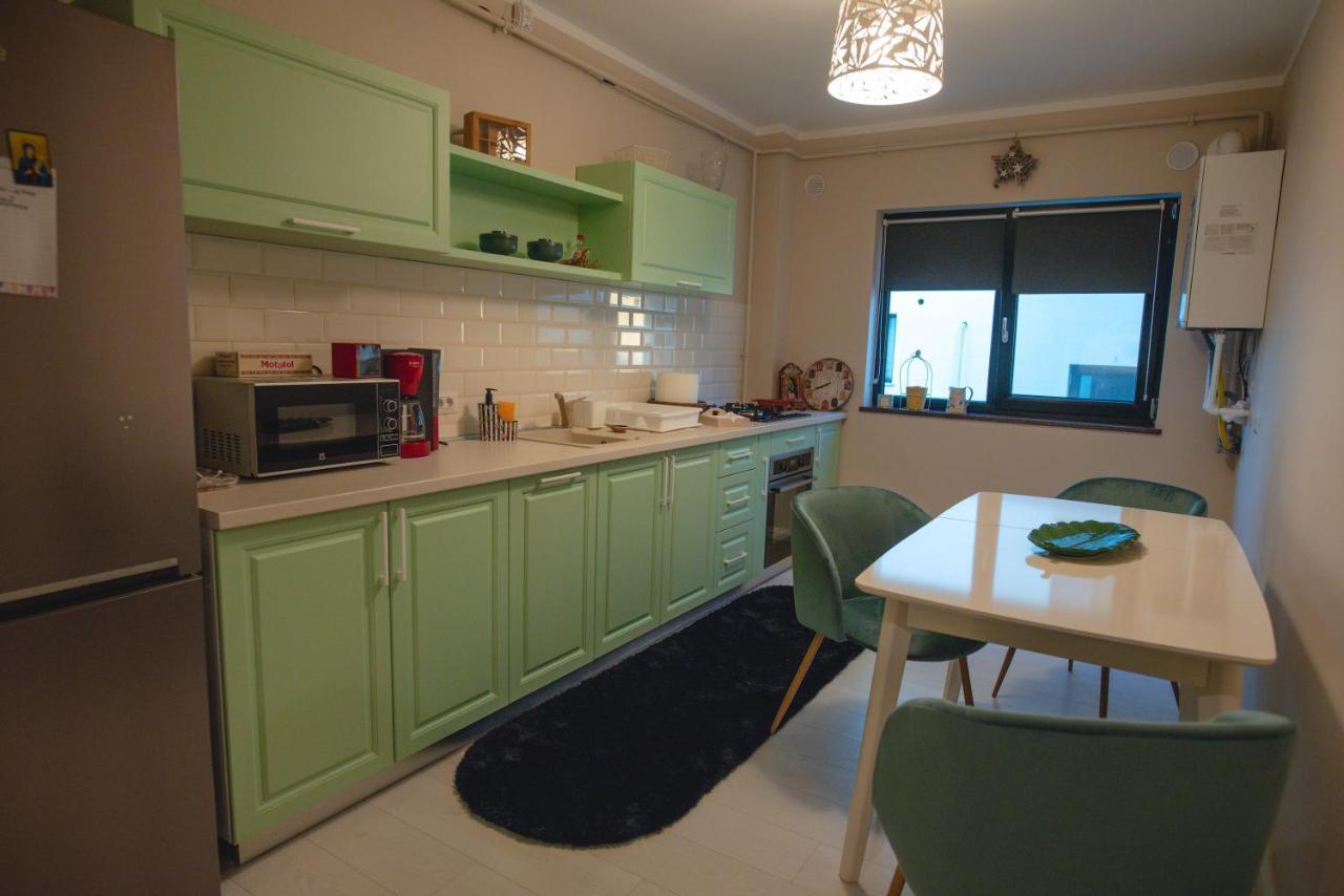La Stejari Apartment スチャヴァ エクステリア 写真