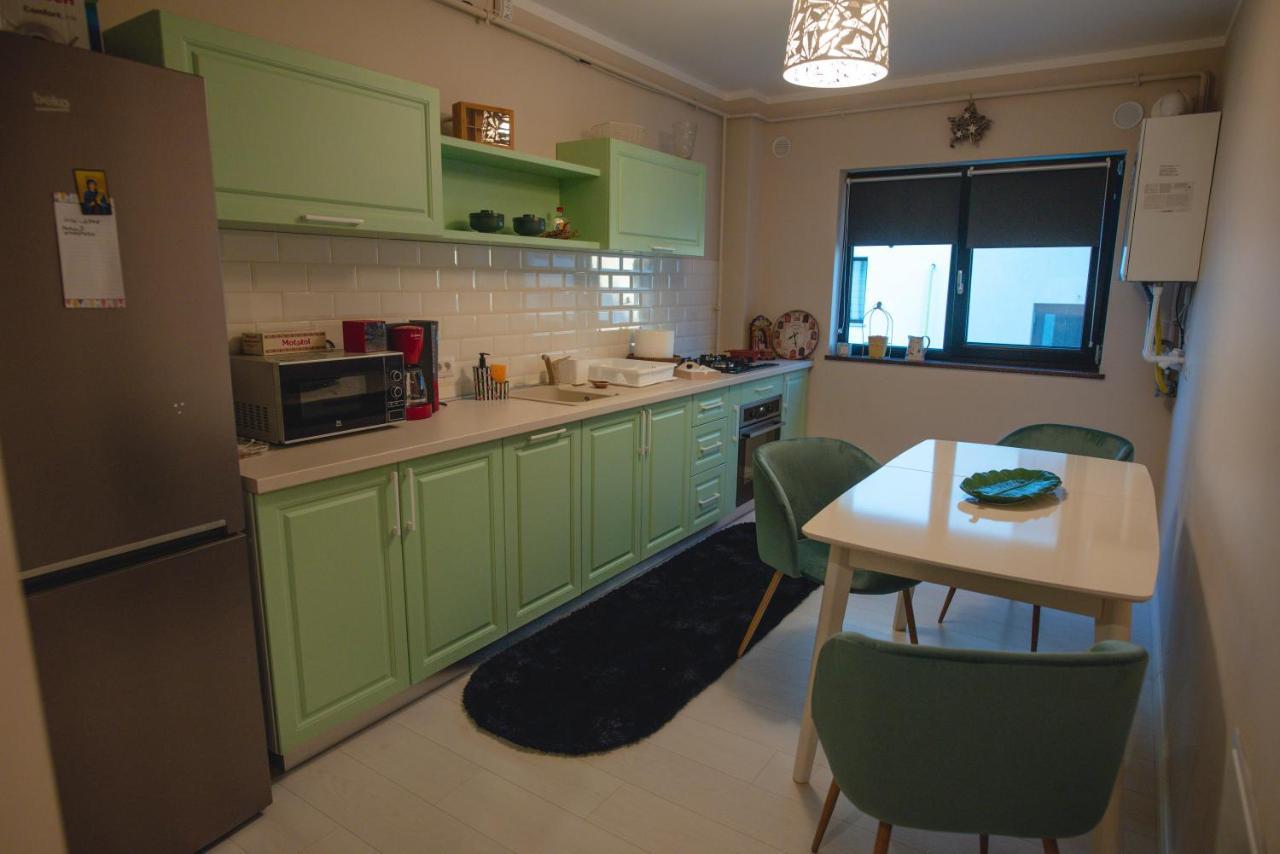 La Stejari Apartment スチャヴァ エクステリア 写真